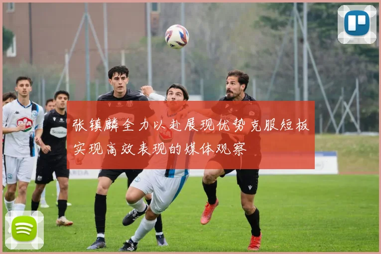 张镇麟全力以赴展现优势克服短板实现高效表现的媒体观察